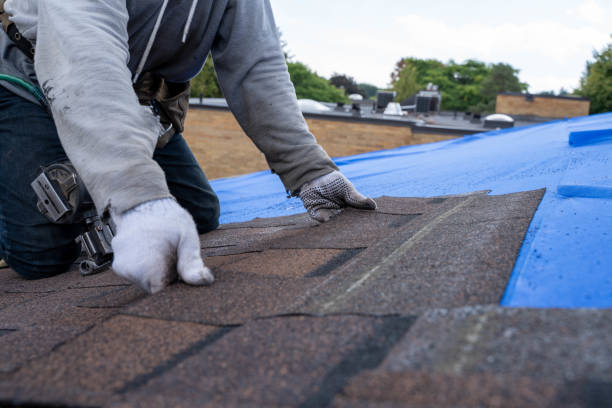 Best Emergency Roof Repair  in Nebo, NC