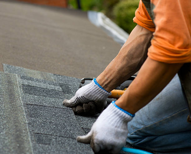 Best New Roof Installation  in Nebo, NC
